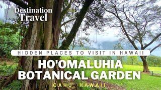Hoomaluhia Botanical Gardens  Things to do on Oahu  Hawaii Luxury Travel