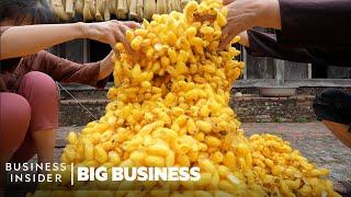 How Mountains Of Worm Cocoons Are Turned Into Expensive Silk In Vietnam  Big Business