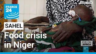 Food crisis in Niger could arm 15% of the population • FRANCE 24 English