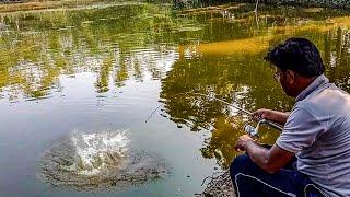 গ্রামের পুকুরে অবিরাম মাছ খেলানো দেখে মন ভালো হয়ে যাবে আপনার