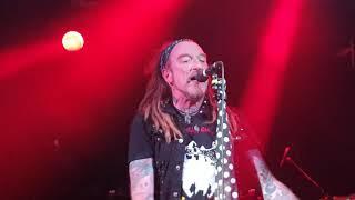 The Wildhearts Diagnosis