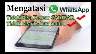 Video Call WhatsApp Tidak Muncul Gambar