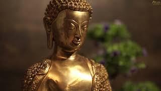 Brass Exclusive Buddha Statue for Home Decor - StatueStudio