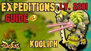 DOFUS - EXPEDITIONS - KOOLICH  8 loot 