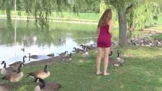 Eldridge park Elmira NY June Marie Liddy and Canadian Geese