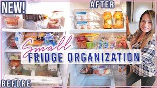 *NEW* SMALL FRIDGE ORGANIZATION IDEAS  HOW TO ORGANIZE YOUR FRIDGE  EXTREME BEFORE AND AFTER