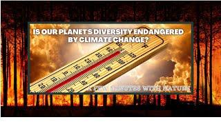 Universal earths transformation Wildfire  Effects of Climate Change  Global warming