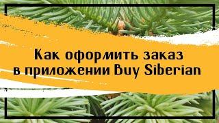 Как оформить заказ в приложении Buy Siberian