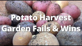 Potato Harvest Wins Fails and New Garden Friends