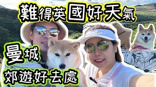 【曼城郊遊】好天氣帶柴犬春卷去曼城水庫Manchester Dovestone Reservoir ​⁠@shibaharumaki #柴犬 #英國