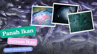 SPEAR FISHING  PANAH IKAN MALAM KE XVII PART 2 #spearfishingindonesia #panahikan #setrumikan