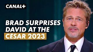 I’m glad I was able to ambush him tonight Brad Pitt gives César 2023 of Honour to David Fincher