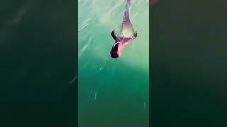 Weirdest sea monster ever What could it be #shortvideo #shortsfeed #shortsvideo