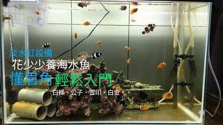 《海水觀賞魚篇》家中海水缸輕鬆入門 Easy fish farming