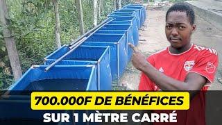 Comment PRATIQUER la PISCICULTURE sur 1m² et FAIRE 700.000 FCFA de PROFITS par AN - Je vous dit tout