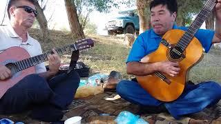 Turkmen gitara