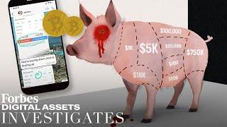 Investigating Pig Butchering Cryptos New Long-Game Financial Con   Forbes Digital Assets