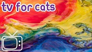 Cat TV 8 Hours of stimulating abstract footage to entertain your cat