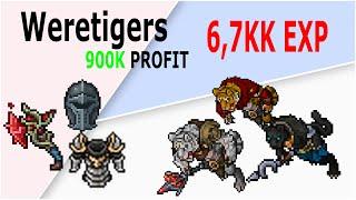 Tibia hunt WereTiger  67kk exp 900k profit Sanguine Hatchet