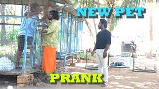 NEW PET  Prank  Prankster Rahul Azar  224