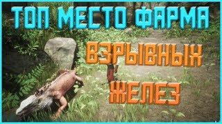 Conan Exiles - Гайд #15 Взрывные железытоп место фарма