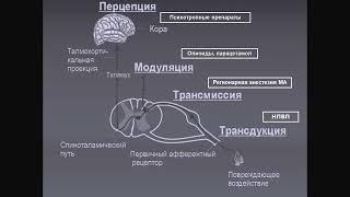 Мультимодальная анальгезия