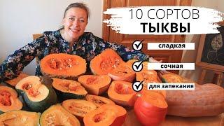 Выбираю самый вкусный сорт тыквы  10 сортов тыквы