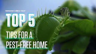 5 Natural Remedies to Keep Bugs Out of Your Home