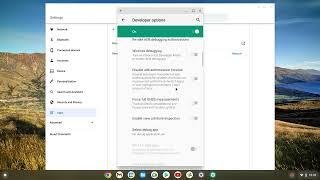 How to Access Android Developer Options on your Chromebook Chrome OS