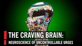 The Craving Brain Neuroscience of Uncontrollable Urges