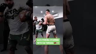 Pereira sparring with Tuivasa  via alexpoatanpereiraYT #UFC303