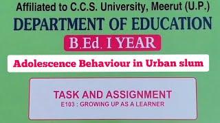 Growing up as a learner  B.ed 1st year file  English