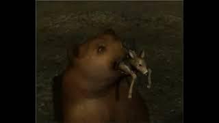 Bear Swallows Fawn - animation of a little deer being eaten by a bear - Bear Vore