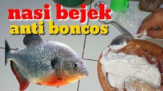 RACIKAN UMPAN JITU IKAN BAWAL HARIAN BARU TEBAR KILO GEBRUS