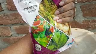 SOP সার আমারা কি কারনে ও কখন ব্যবহার করবো