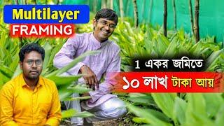 চাকরি ছেড়ে Organic Farming  1 একরে বছরে আয় 10 লাখ  Multilayer farming @akashchourasiyamultilayer