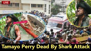 Tamayo Perry Dead By Shark Attack  Tamayo Perry Death   Lala newz
