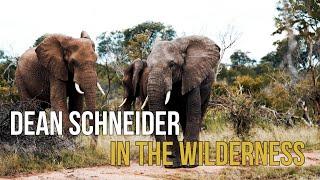 The fascinating Wilderness -Dean Schneider