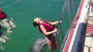 dolphin nose up girls butt gif