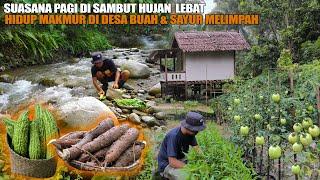 HIDUP MAKMUR DI PEDESAAN TENGAH KEBUN BANGUN PAGI DI SAMBUT HUJAN LEBAT MENIKMATI SINGKONG & PARE