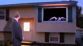 Giant Spiders DVD RV189