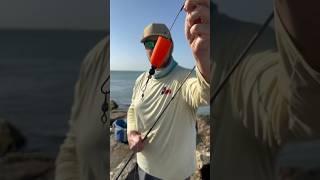 HOW TO use a POPPING CORK to catch TONS OF FISH #shorts  #fishing