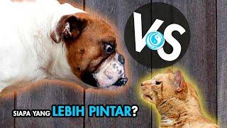 LEBIH PINTAR ANJING ATAU KUCING?  FAKTA ATAU MITOS Episode 4