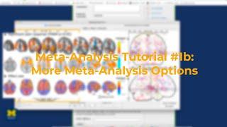 fMRI Meta-Analysis Tutorial #1b Contrasting Meta-Analyses