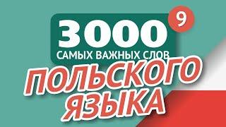   ПОЛЬСКИЕ СЛОВА – ЧАСТЬ #9 - 3000 самых важных слов 