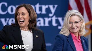 Its about voting against Trump Liz Cheney campaigns for Harris