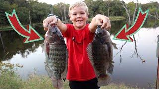 The Secret to Catching Monster Tilapia {Catch Clean and Cook}