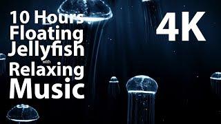 4K UHD 10 hour - Floating Jellyfish & Relaxing Music - calm meditation nature