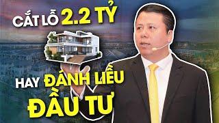 Dự Án Đứng Yên Cắt Lỗ 22 TỶ Hay Mạo Hiểm?  Phạm Tuấn Sơn