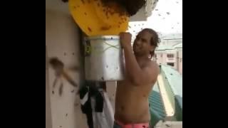 Man bees in india